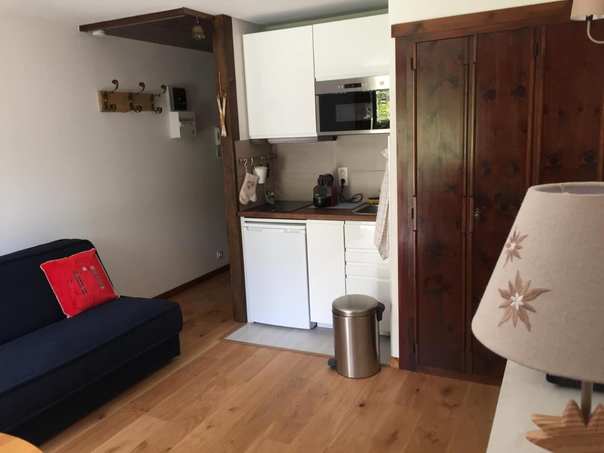 Studio Au Calme Avec Jardin Et Vue Mont-Blanc Chamonix Ngoại thất bức ảnh
