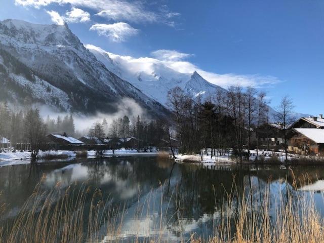 Studio Au Calme Avec Jardin Et Vue Mont-Blanc Chamonix Ngoại thất bức ảnh