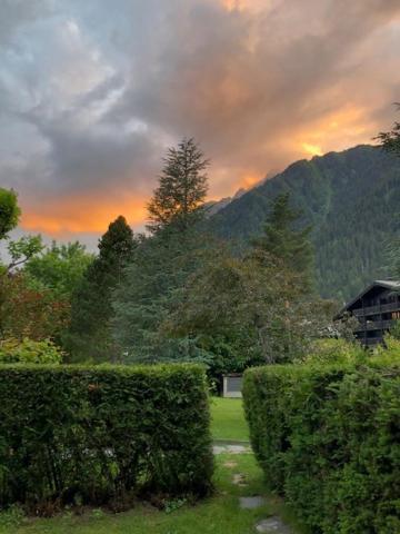 Studio Au Calme Avec Jardin Et Vue Mont-Blanc Chamonix Ngoại thất bức ảnh